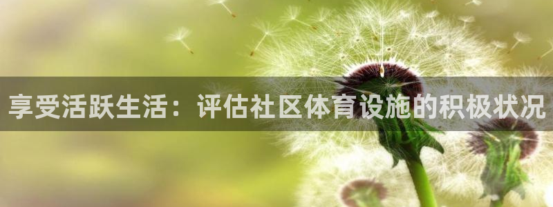意昂3娱乐是那个系列的台子：享受活跃生活：评估社区体