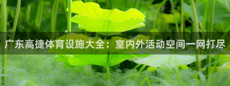意昂体育3平台注册：广东高捷体育设施大全：室内外活动