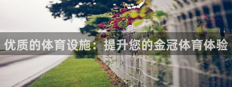 意昂3代理：优质的体育设施：提升您的金冠体育体验