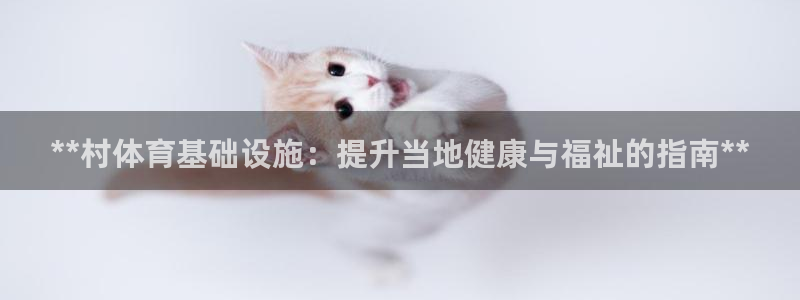 意昂3娱乐平台：**村体育基础设施：提升当地健康与福