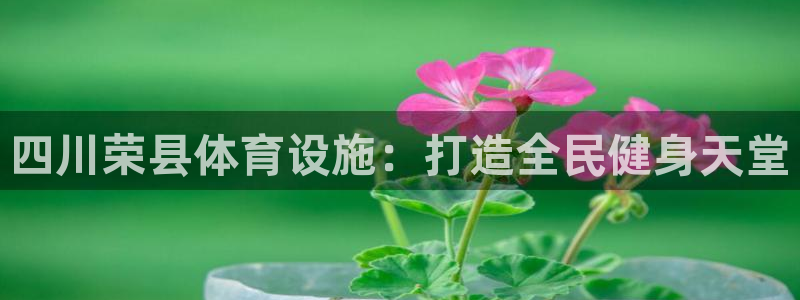 意昂3娱乐首页网站大全：四川荣县体育设施：打造全民健