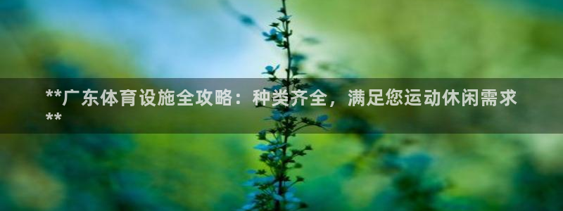 意昂3娱乐是那个系列的台子：**广东体育设施全攻略：