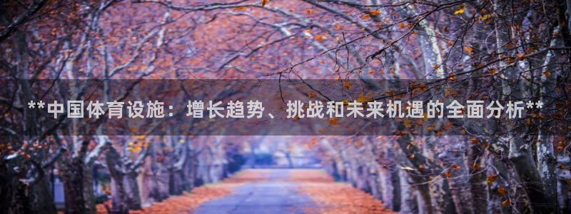 意昂体育3联系电话：**中国体育设施：增长趋势、挑战
