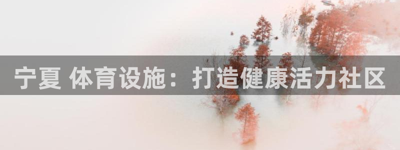 意昂体育3注册：宁夏 体育设施：打造健康活力社区