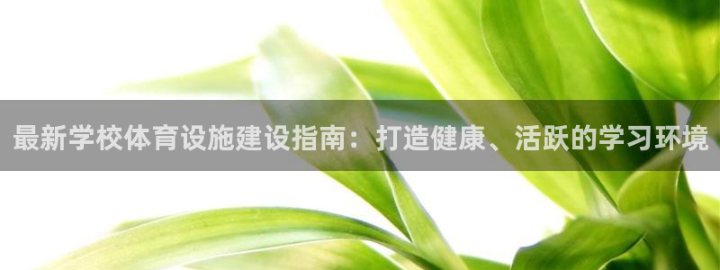 意昂3代理：最新学校体育设施建设指南：打造健康、活跃