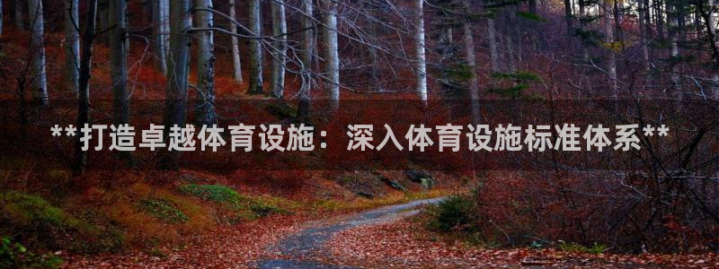 意昂3官网：**打造卓越体育设施：深入体育设施标准体