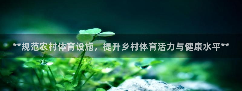 意昂体育3平台注册流程图：**规范农村体育设施，提升