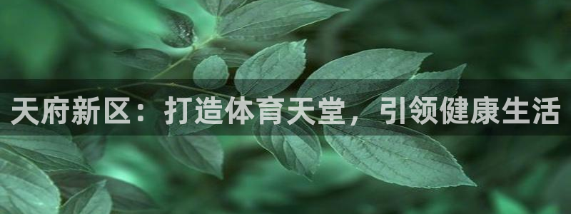 意昂体育3平台注册流程视频：天府新区：打造体育天堂，