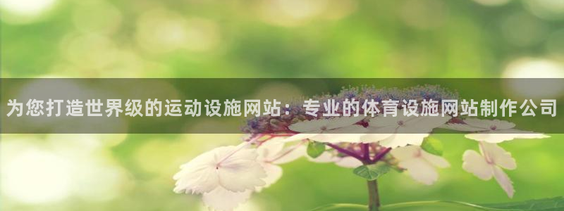 意昂3代理：为您打造世界级的运动设施网站：专业的体育