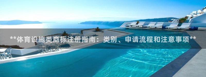 意昂3五金厂：**体育设施类商标注册指南：类别、申请