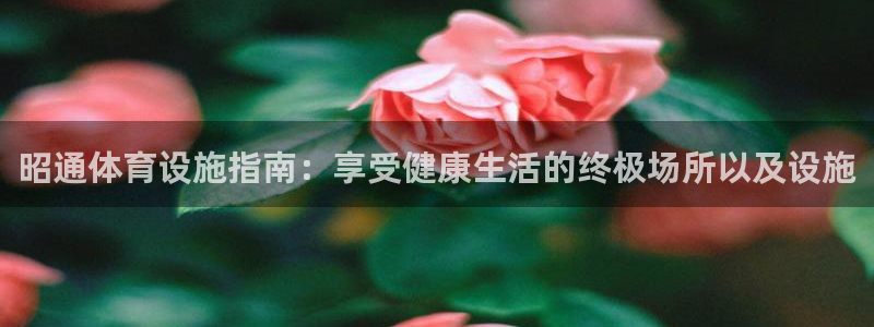 意昂3集团：昭通体育设施指南：享受健康生活的终极场所