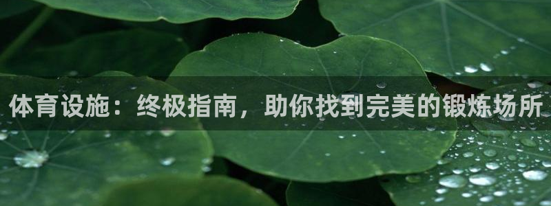 意昂3五金厂：体育设施：终极指南，助你找到完美的锻炼