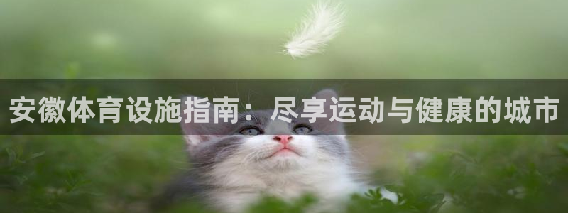 意昂3娱乐是那个系列的台子：安徽体育设施指南：尽享运