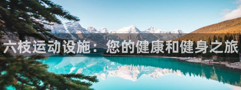 意昂体育3平台假的吗是真的吗：六枝运动设施：您的健康