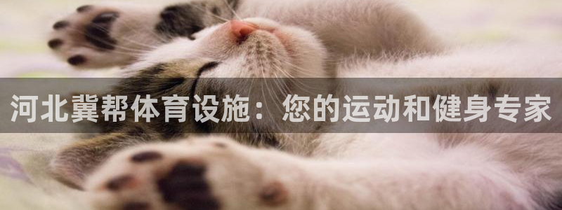 意昂3开户：河北冀帮体育设施：您的运动和健身专家