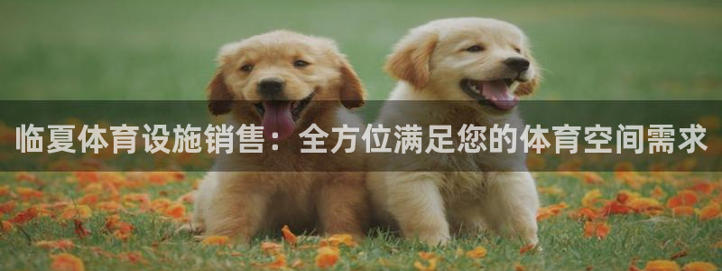 意昂3五金厂：临夏体育设施销售：全方位满足您的体育空