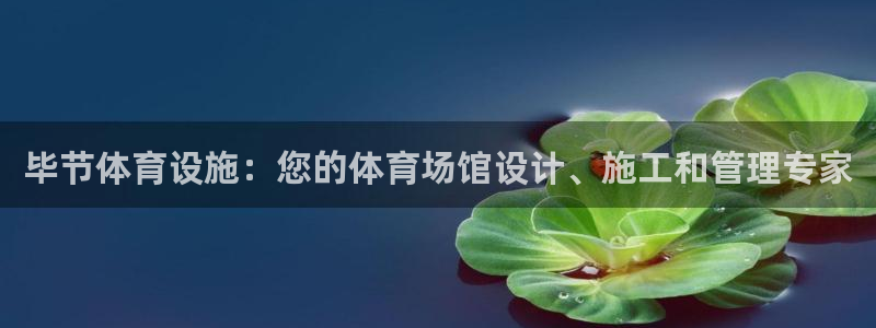 意昂体育3娱乐：毕节体育设施：您的体育场馆设计、施工