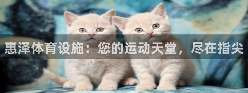 意昂体育3平台注册流程图：惠泽体育设施：您的运动天堂