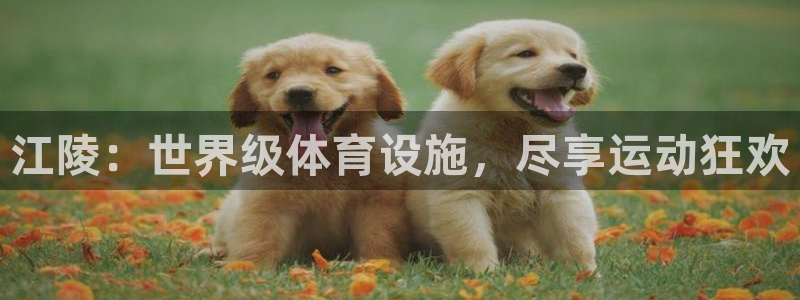 意昂3集团官网首页网址：江陵：世界级体育设施，尽享运