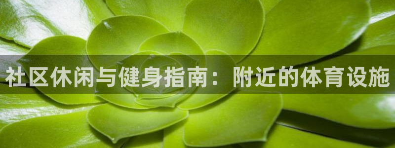 意昂3官方：社区休闲与健身指南：附近的体育设施