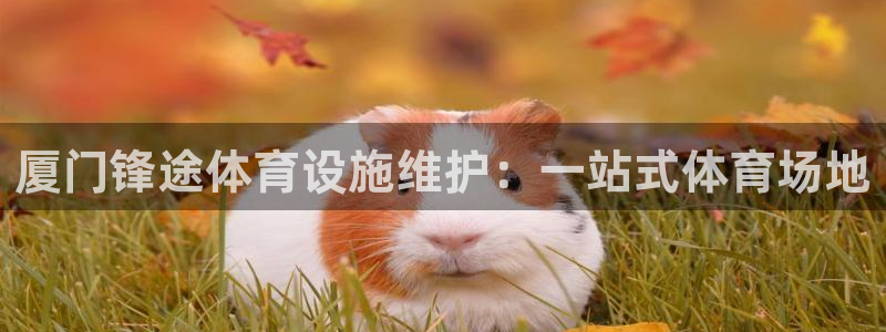 意昂体育3招商电话号码是多少啊：厦门锋途体育设施维护