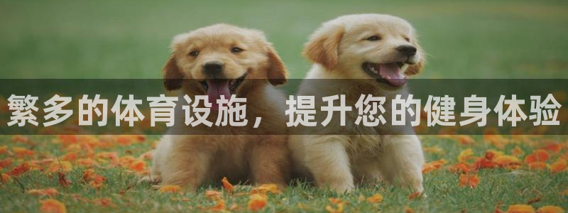 意昂3五金厂：繁多的体育设施，提升您的健身体验