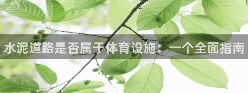 意昂3开户：水泥道路是否属于体育设施：一个全面指南