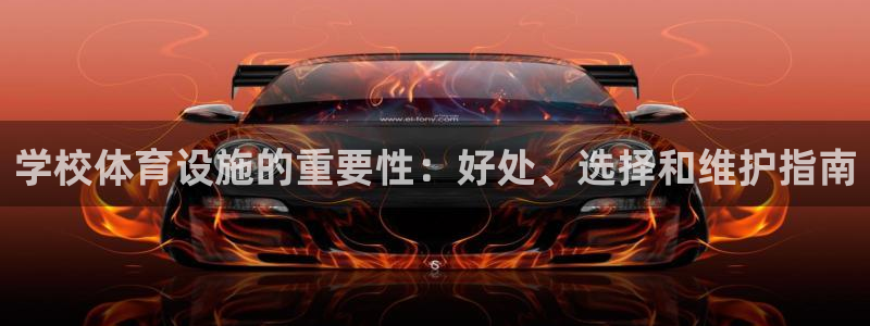 意昂体育3官方客服电话：学校体育设施的重要性：好处、