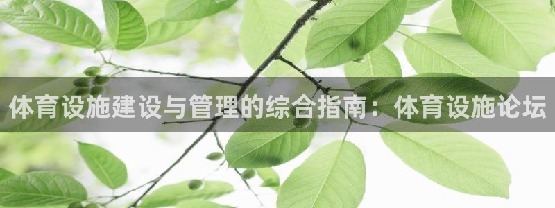 意昂体育3娱乐：体育设施建设与管理的综合指南：体育设