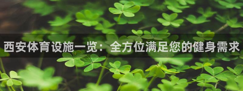 意昂体育3娱乐：西安体育设施一览：全方位满足您的健身