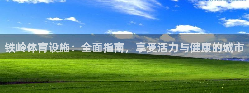 意昂3集团logo：铁岭体育设施：全面指南，享受活力