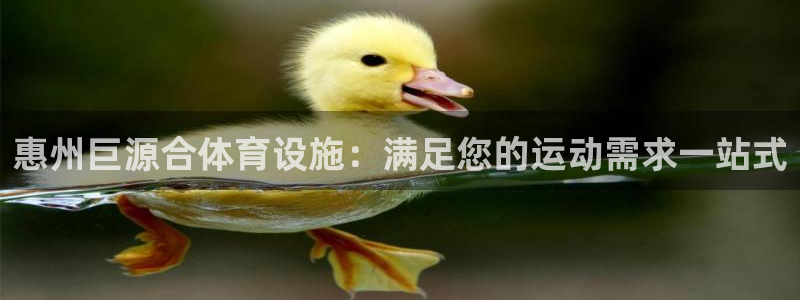 意昂3开户：惠州巨源合体育设施：满足您的运动需求一站