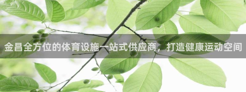 意昂体育3招商电话：金昌全方位的体育设施一站式供应商