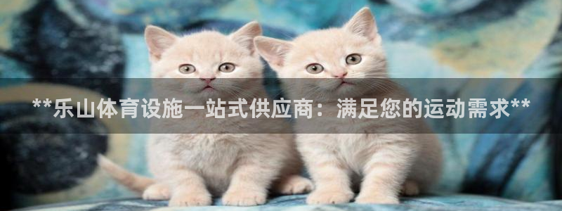 意昂体育3招商电话地址：**乐山体育设施一站式供应商