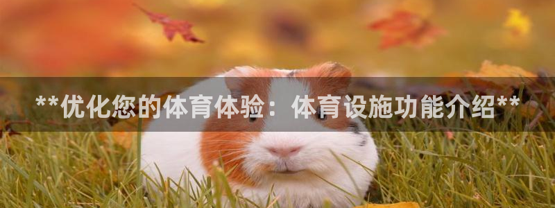 意昂体育3软件：**优化您的体育体验：体育设施功能介