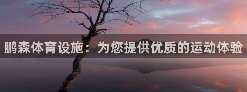 注册意昂3：鹏森体育设施：为您提供优质的运动体验