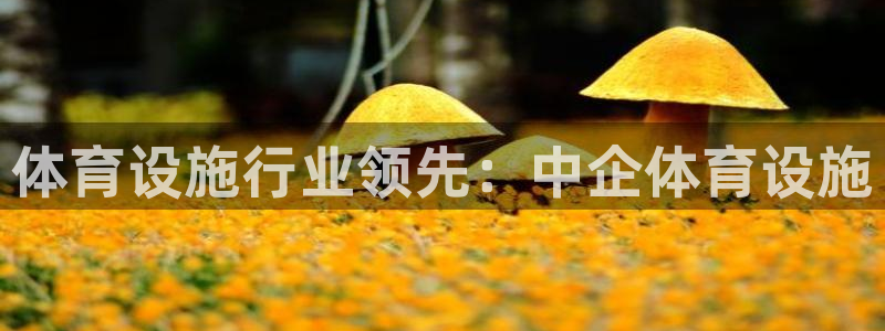 意昂3娱乐40996：体育设施行业领先：中企体育设施