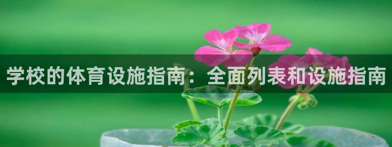 意昂体育3平台假的吗是真的吗：学校的体育设施指南：全