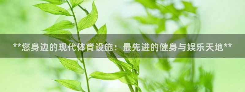 意昂3新能源：**您身边的现代体育设施：最先进的健身