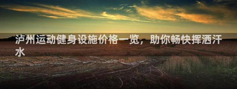 意昂体育3招商电话地址查询：泸州运动健身设施价格一览