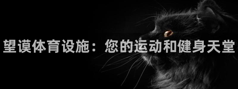 意昂体育3平台APP：望谟体育设施：您的运动和健身天