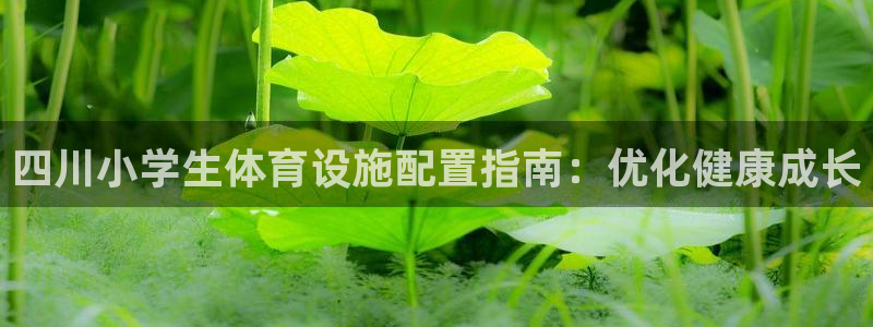 意昂3娱乐首页官网下载：四川小学生体育设施配置指南：