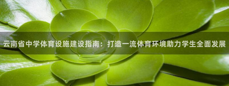 意昂体育3招商电话号码是多少啊：云南省中学体育设施建