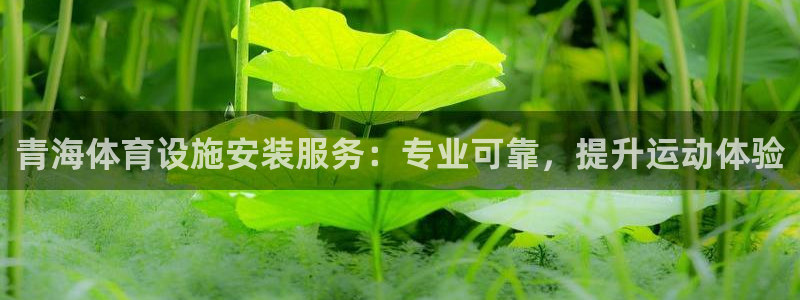 意昂体育3开户：青海体育设施安装服务：专业可靠，提升