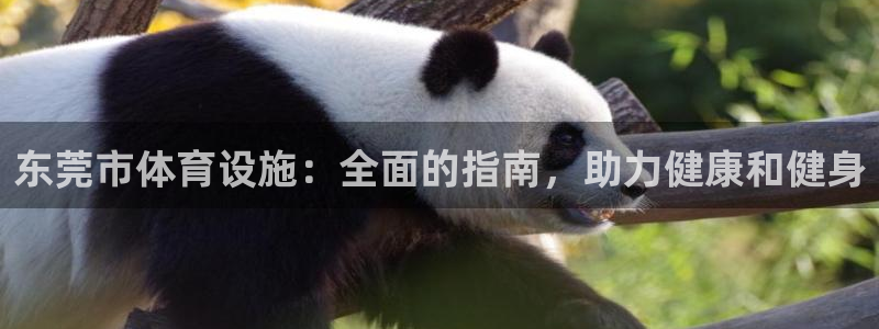 意昂3五金厂：东莞市体育设施：全面的指南，助力健康和