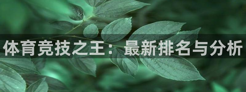 意昂3娱乐首页官网下载