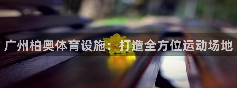 意昂3新能源