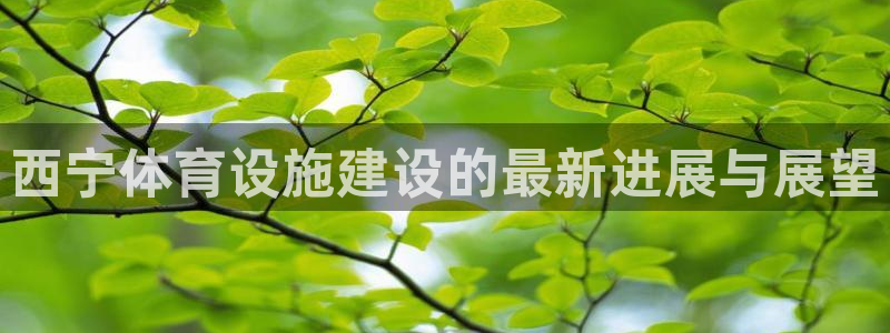 意昂体育3娱乐