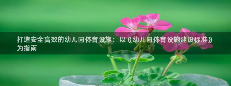 意昂体育3招商电话地址查询：打造安全高效的幼儿园体育设施：以