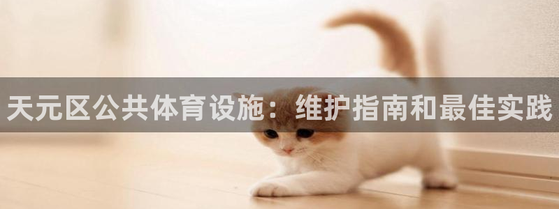 注册意昂3：天元区公共体育设施：维护指南和最佳实践